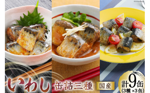y{錧Csz킵 ʋl Hה Zbg 170g×9 3×3 [CsYU {錧 Cs 20565278] 킵ݖ 킵X 킵oW\[X ۑ H ~ h