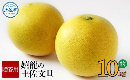ymysz2026N1{菇𗴂̓yU@p@2`3kTCY@10kg@_