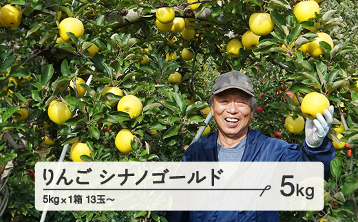 先行予約》令和7年産 2025年 山形県産 りんご シナノゴールド 約5kg