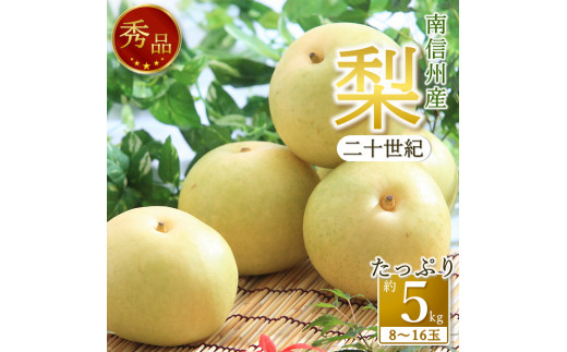 y쌧XzyMBYzu\IvGi5kgi8ʁ`16ʁj 2026N9{蔭 쌧 MB X Yn ʕ  Ȃ iV a { {̉ʕ {̗ Mtg  JA