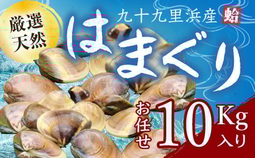 【千葉県山武市】九十九里浜産活天然はまぐりサイズお任せ10kg入り SMBB004