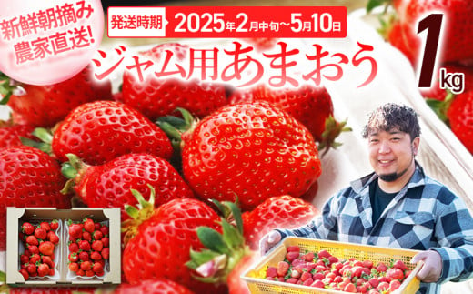 ジャム用あまおう1kg ※2025年2月中旬～5月10日頃にかけて順次出荷予定 BD08 - 福岡県大木町｜ふるさとチョイス - ふるさと納税サイト