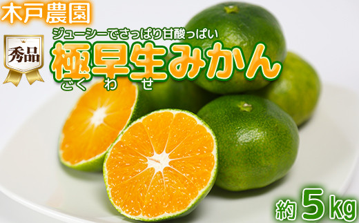 極早生みかん！木戸農園のおおいた早生 約5kg（秀品） ミカン みかん