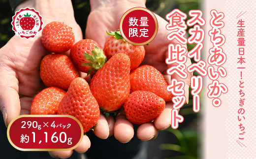 sd1_8bddf3ba0dbb1ba3d8c1d81c99