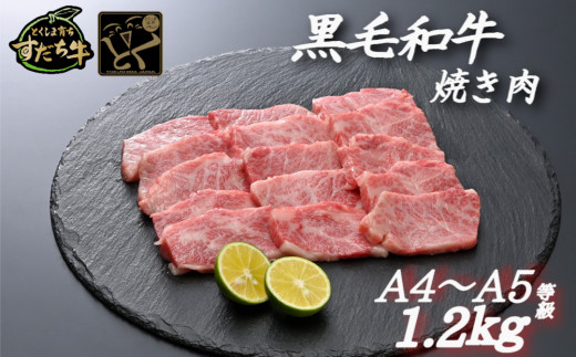 すだち牛 黒毛和牛 （ 焼き肉用 ） 1.2kg 国産 牛肉 焼き肉 焼肉 赤身 冷凍 お肉 肉 ブランド 和牛 霜降り カット 小分け 人気 -  徳島県鳴門市｜ふるさとチョイス - ふるさと納税サイト