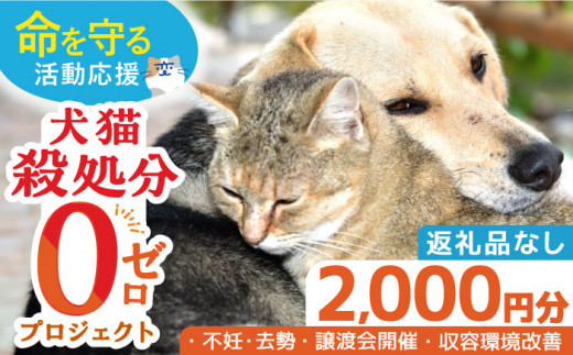 お礼の品なし】犬猫殺処分ゼロプロジェクト＜2,000円＞長崎県ふるさと納税[42ZZAE001] 長崎 長崎の変 動物 犬 猫 いぬ ねこ イヌ ネコ  保護犬 保護猫 支援 応援 チョイス限定 動物愛護 保護 どうぶつ 地域猫 寄付のみ - 長崎県｜ふるさとチョイス - ふるさと納税サイト