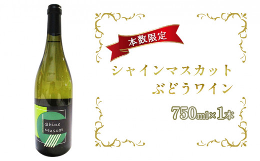 №5554-0120]シャインマスカットぶどうワイン 750ml×1本 - 青森県鶴田町