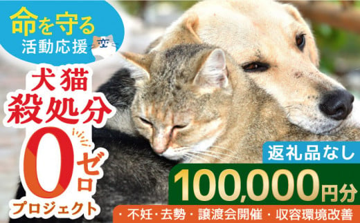 お礼の品なし】犬猫殺処分ゼロプロジェクト＜100,000円＞長崎県ふるさと納税[42ZZAE006]長崎 長崎の変 動物 犬 猫 いぬ ねこ イヌ  ネコ 保護犬 保護猫 支援 応援 チョイス限定 動物愛護 保護 どうぶつ 地域猫 寄付のみ - 長崎県｜ふるさとチョイス - ふるさと納税サイト