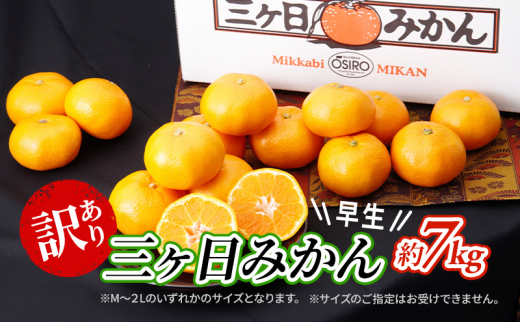 2026年11月中旬より順次発送】 訳あり 三ヶ日みかん 早生 7kg 早生