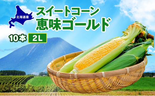 北海道産 スイート コーン めぐみゴールド 2Lサイズ 10本 先行受付 8月上旬～末頃にお届け とうもろこし 恵味 めぐみ トウモロコシ 旬 完熟  朝もぎ 野菜 産地直送 お取り寄せ 北海道 丸田農園 送料無料 洞爺湖 - 北海道洞爺湖町｜ふるさとチョイス - ふるさと納税サイト