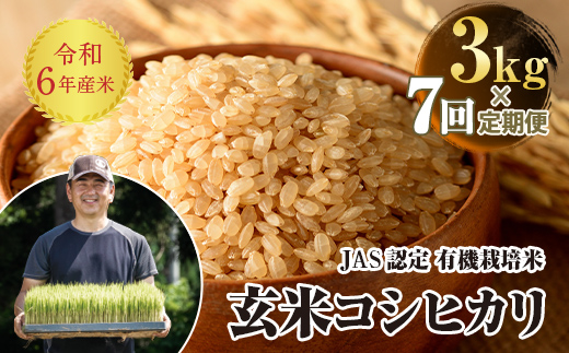 定期便7ヶ月＞【先行予約】 令和6年産米 JAS認定 有機栽培米 西会津産米 コシヒカリ 玄米 3kg 米 お米 おこめ ご飯 ごはん 福島県  西会津町 F4D-0917 - 福島県西会津町｜ふるさとチョイス - ふるさと納税サイト