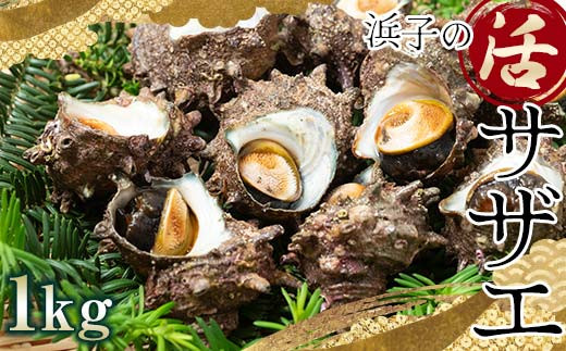 yXz{BŖk[̊C ylq̊TUGz 1kgi7`10jtJ[ht  h L CN BBQ  Ă hg  D    X F6N-121
