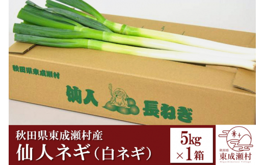 秋田県東成瀬村産 仙人ネギ（白ネギ） 5kg×1箱 - 秋田県東成瀬村｜ふるさとチョイス - ふるさと納税サイト