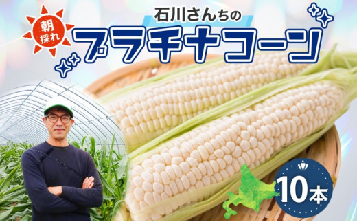 北海道 月形町産 石川さんちの プラチナコーン 10本 白い とうもろこし コーン ホワイト 野菜 夏野菜 旬 生 完熟 甘い ジューシー 採れたて  新鮮 朝採れ お取り寄せ 産地直送 エーコープつきがた 送料無料 [№5783-0744] - 北海道月形町｜ふるさとチョイス - ふるさと納税 ...