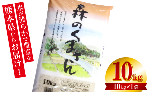 先行予約】 【令和6年産】 ≪新米≫ 熊本県産 森のくまさん10kg（10kg×1袋）お米ひとすじ八代食糧！ オリジナルパッケージ 【2024年10月中旬より順次発送】  - 熊本県八代市｜ふるさとチョイス - ふるさと納税サイト