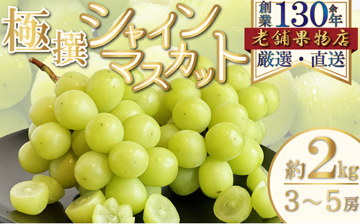 y쌧쒬z[5911-0360]ɐIVC}XJbg@2kg(3`5[)