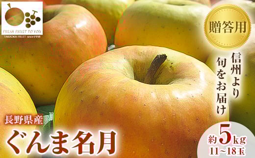 【長野県中野市】「産地より信州中野の旬をお届け」 長野県産ぐんま名月 贈答用 約5kg_ りんご 林檎 リンゴ 名月 ぐんま名月 フルーツ 果物 ふるーつ くだもの 国産 旬 ギフト 贈答 産地直