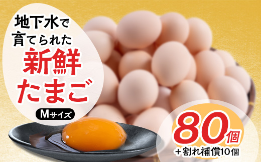 たまご sd1_0e7780f3e8b28e876b0653aa5f