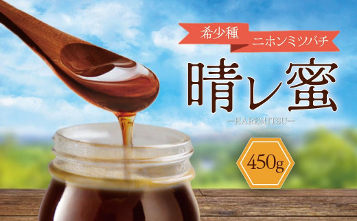 （訳あり）日本ミツバチの蜂蜜 600g×2本 No.1群 honey-shop_600-2set