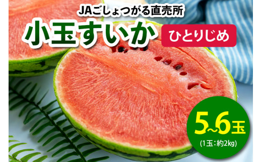 おすすめ　美味しい　スイカ　1玉　02 楽天市場】スイカ 甘い 糖度 贈答 山形 尾花沢 すいか 大玉