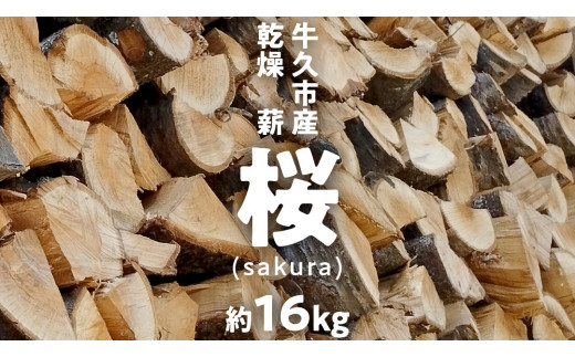 牛久市産 乾燥 薪 桜 ( さくら ) 約 16kg 天然木 マキ 乾燥薪 広葉樹 キャンプ アウトドア 焚火 焚き火 薪ストーブ 暖炉 たき火 野外  屋外 バーベキュー薪 ピザ窯の薪 グリル焼