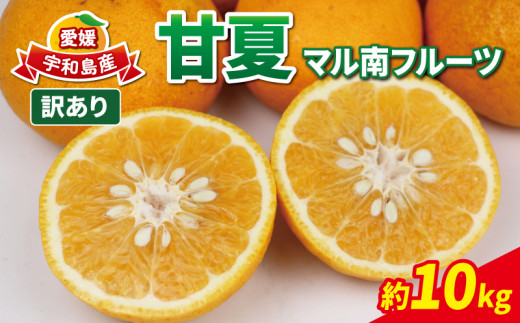愛媛みかん 訳あり 甘夏 10kg マル南フルーツ 先行予約 わけあり  