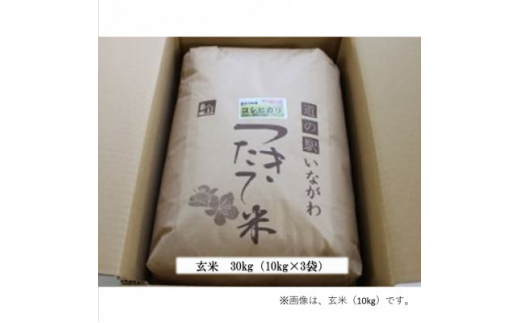 令和6年産＞新米・猪名川町のお米コシヒカリ(玄米)30kg【1514230】 - 兵庫県猪名川町｜ふるさとチョイス - ふるさと納税サイト