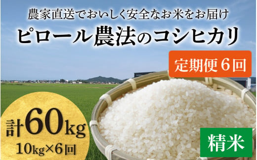 先行予約】【令和6年産】《定期便6回》【ピロール米】ピロール農法のコシヒカリ 精米 10kg（5kg×2袋） / 一等米 福井県産 ブランド米 ご飯  白米 お米 コメ 新鮮 小分け 定期便 6回 新米 ※2024年9月下旬より順次発送 - 福井県あわら市｜ふるさとチョイス - ふるさと納税サイト