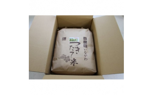 令和6年産＞猪名川町のお米コシヒカリ(精米)約9kg【1514232】 - 兵庫県 