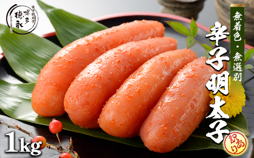 yÎszi@Iʁ@Fhqq1kg[F0143]