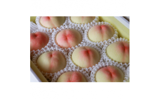 yRVzRYuPv1kg|2026N7{ȍ~\y1516929z