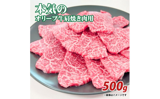 y쌧OLszyӂ邳Ɣ[Łz{C̃I[uēp500g  H {