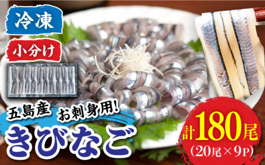 y茧ܓszܓY тȂ hgp 180i20×9pbNj ܓs/╟ېY[PDP001] Ⓚ  т  hg CN CY C̍K N