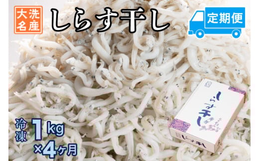 y錧z 炷 (1kg×4) VR ӂ  Y 炷 VX    H