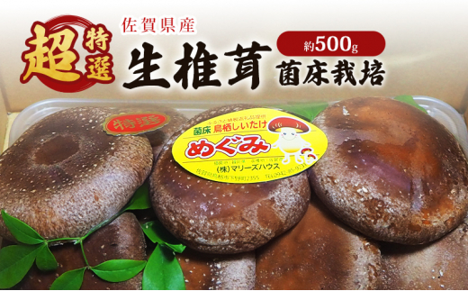 yꌧsz ꌧY I ő ۏ͔| 500g ő ̂