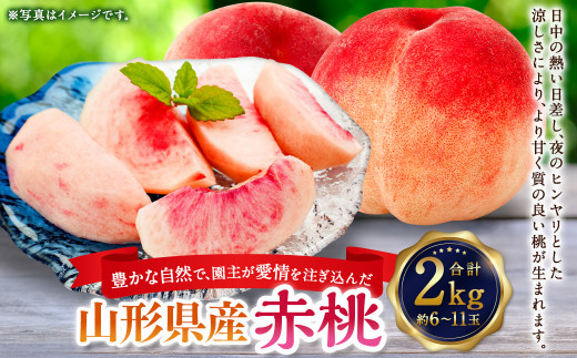 楽天市場】【6月下旬から順次ご発送】 【 和歌山県 桃 約 2kg 6