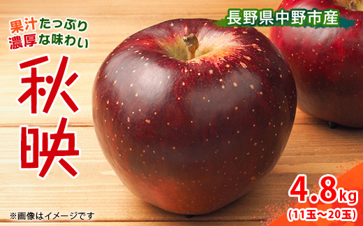 先行受付＞ りんご 秋映 4.8kg 長野県産_ りんご 林檎 リンゴ 秋映