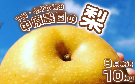 【先行予約】 梨 10kg 選べる セット 20玉 ～ 32玉 訳あり 幸水 豊水 新興 フルーツ 果物 なし 和梨 期間限定 中原農園 下関 山口  【 数量限定 】 【8月より発送】