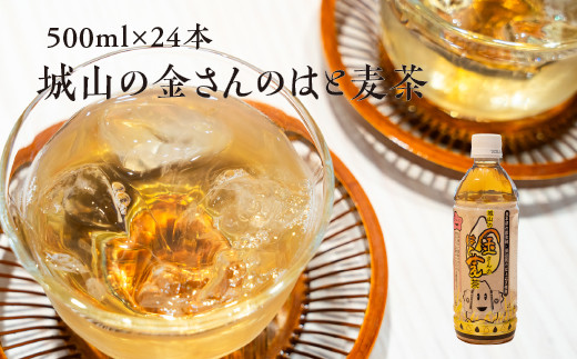 城山の金さんのはと麦茶 500ml×24本 ｜ お茶 麦茶 はと麦 ペットボトル