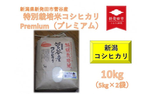 令和6年産先行予約】新潟産コシヒカリ 10kg 5kg×2袋 特別栽培米 新発田産 【 先行予約 新潟県 新発田市 米 新米 コシヒカリ 菅谷 玄米  10kg D79_01Y 】 - 新潟県新発田市｜ふるさとチョイス - ふるさと納税サイト