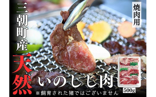 y挧Oz OY ēp ~bNX XCX 500gbWrG   ɂ Y ̂  VR [X o  Ef C Ă BBQ Hi OY lC  
