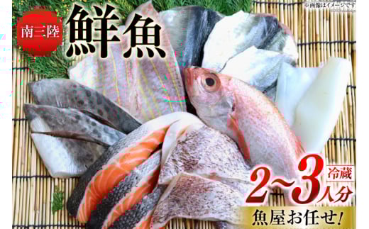 y{錧OzN lߍ킹 CIOyݑN Zbg 2`3l [Ȃ݂̂ {錧 O 30aj0001]  ^R y ق z^e h ώ ؂g