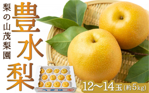 先行予約】梨の山茂梨園 豊水梨12玉から14玉 (約5kg) 2025年8月下旬から9月上旬 出荷予定 - 福岡県うきは市｜ふるさとチョイス -  ふるさと納税サイト