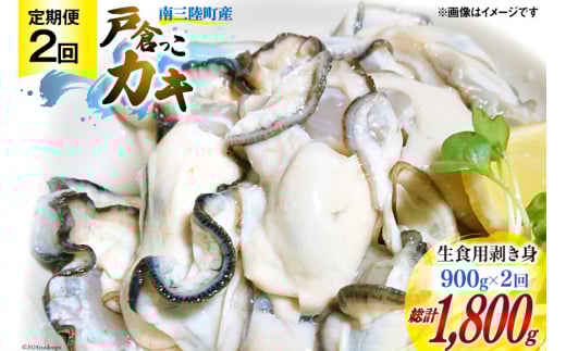 y{錧OzyԌ蔭z 2  y H OY ˑqJL 300g×3{ v900g [{錧ƋguÐx {錧 O 30an0004] JL Hp g  JL