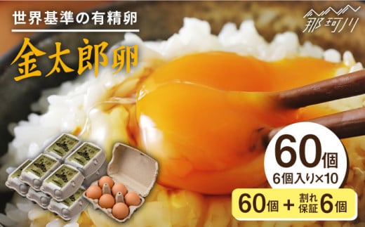 TVで紹介！】【鮮度ＡＡ級の世界最高ランク！】金太郎卵 平飼い たまご 60個（6個✕10パック）＜有限会社 フジノ香花園＞那珂川市 [GAM004]  - 福岡県那珂川市｜ふるさとチョイス - ふるさと納税サイト