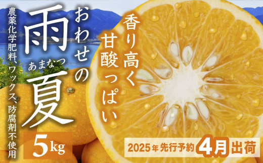 おわせの雨夏（あまなつ） 100% ジュース720ml × ２本 無農薬 ワックス・防腐剤不使用 木成り 完熟 甘夏 ギフト 贈答 日用 でも使える  三重 尾鷲 の 柑橘 特産品 TK-18 - 三重県尾鷲市｜ふるさとチョイス - ふるさと納税サイト