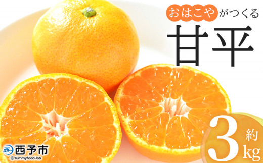 yQ\sz͂₪ Õ 3kgiL`3LTCYj ʕ t[c k JyC ݂ ~J  Yi Fa Q \s y퉷z