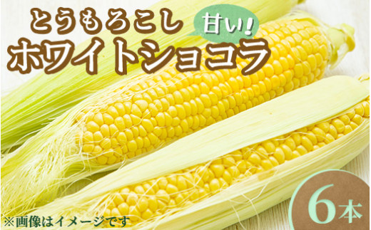 先行受付】とうもろこし ホワイトショコラ 6本〔B-102〕 | トウモロコシ コーン 先行予約 数量 限定 生 甘い 野菜 やさい 那須 栃木県  那須町 ※2024年8月上旬頃より順次発送予定 - 栃木県那須町｜ふるさとチョイス - ふるさと納税サイト