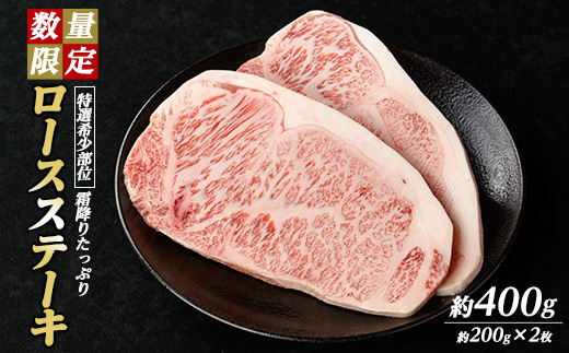 yzʌ聄󏭕ʁIa[XXe[L(400gE200g×2P)yi`Nznanchiku-7254