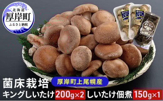 ykCݒzkCY ݒ y ۏ͔| LO 2pbN ώ 150g×1pbN  [5863-1113]